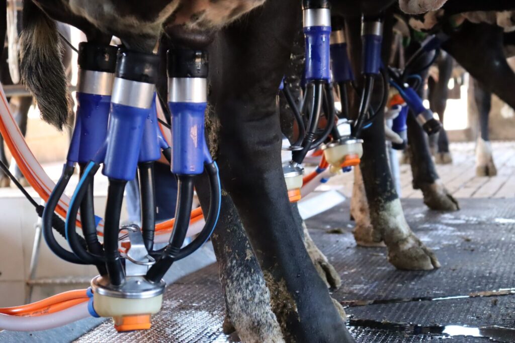 WhatsApp-Image-2025-12-15-at-14.39.18-1536x1024-1-1024x683 Caiado sanciona lei que proíbe venda de leite feito a partir de pó importado em GoiásMedida tem como objetivo proteger o produtor goiano